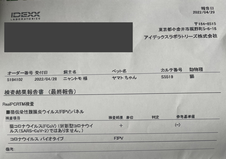 協力病院　FIP検査結果