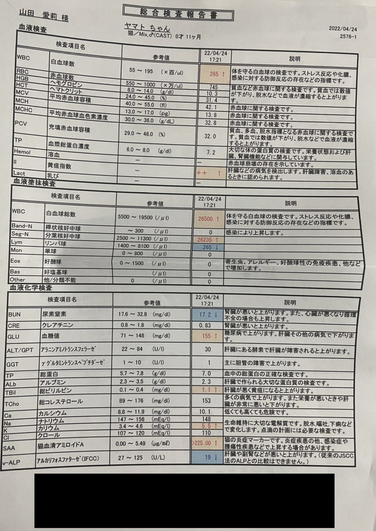 最初の検査結果