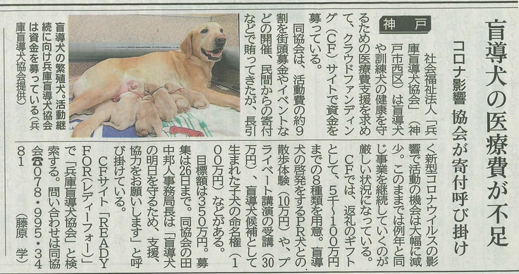 神戸新聞掲載内容