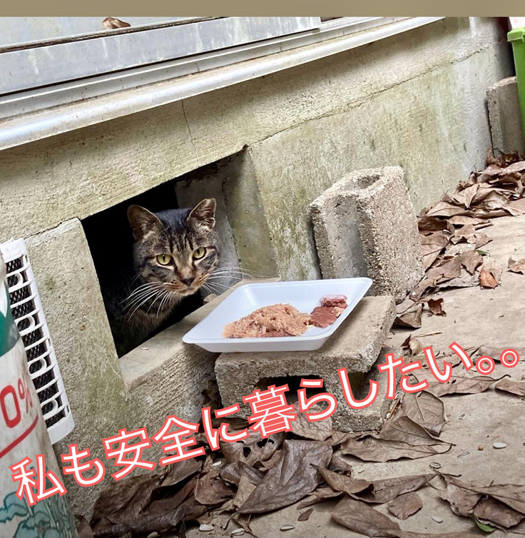 安全に暮らしたい