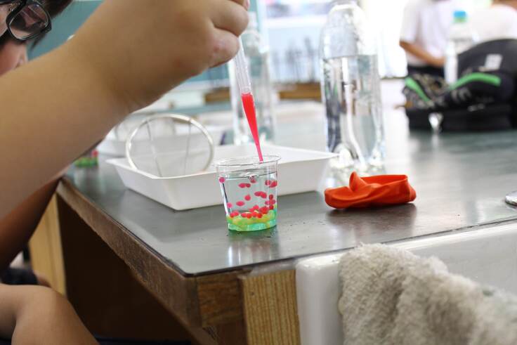 （2019年度移動科学教室での人工イクラ作りの様子）