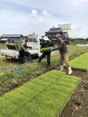 苗を車に積んでいます