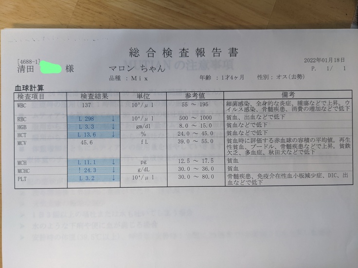 1.18検査結果