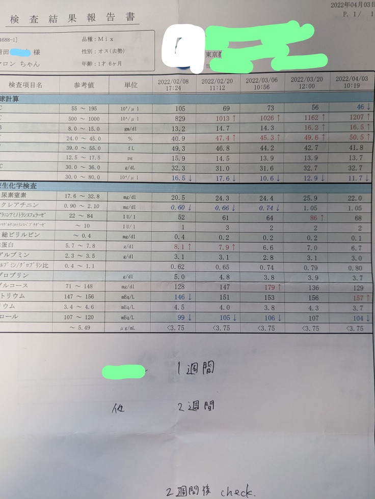 結果4/3