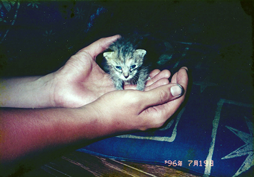 保護直後のモモ