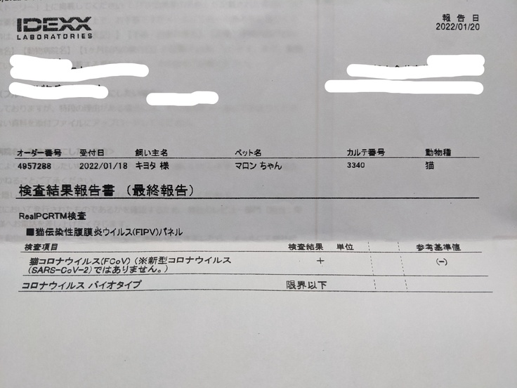 猫コロナ陽性2022.1.20