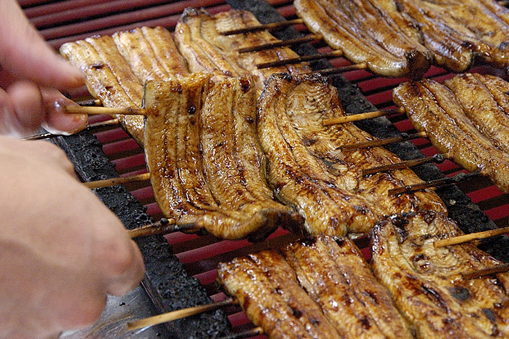 うなぎ 蒲焼