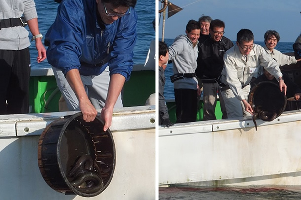 遠州灘で親うなぎを放流するメンバーたち