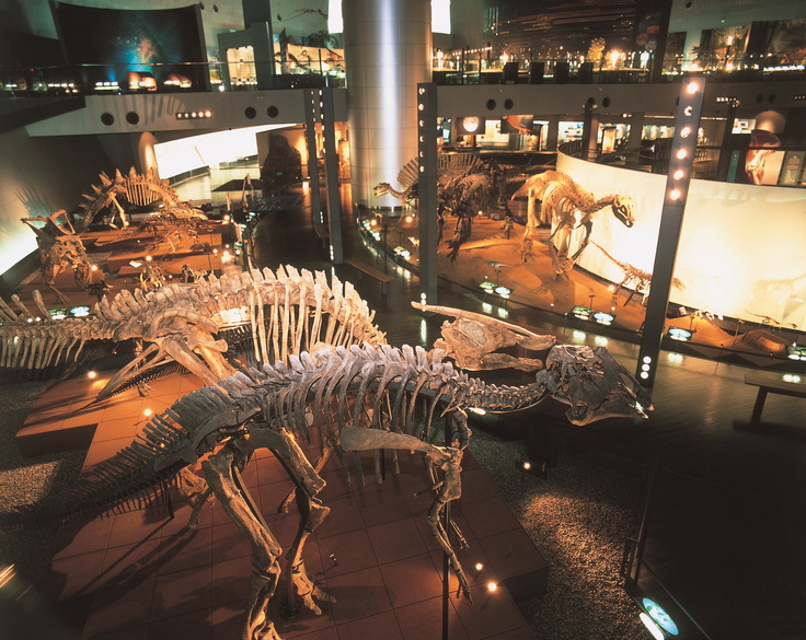 御蕎印（ごきょういん）越前おろしそば巡りと合わせて福井観光　勝山市恐竜博物館