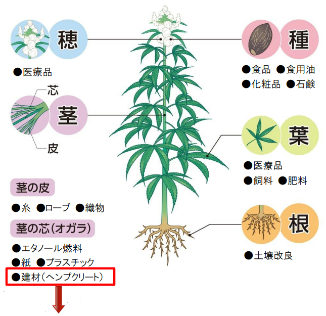 オガラからヘンプクリートが作られる