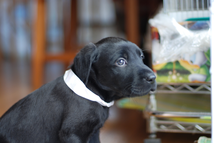 みるく_3か月ぐらい