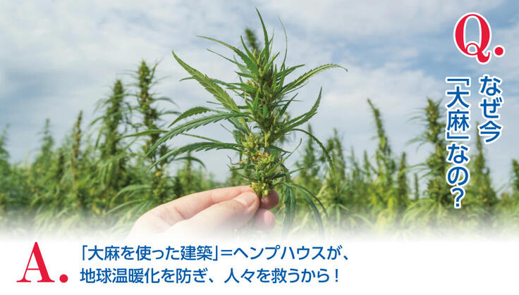 なぜ今「大麻」なの？