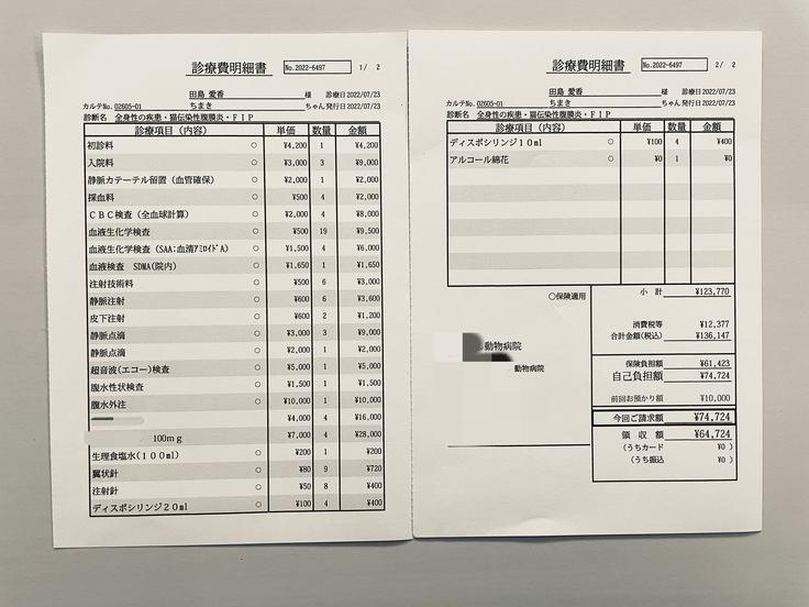 診療・治療明細