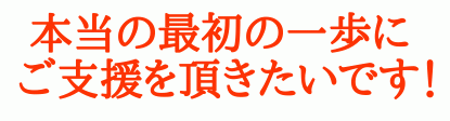 本当の最初の一歩に、ご支援を頂きたいです！
