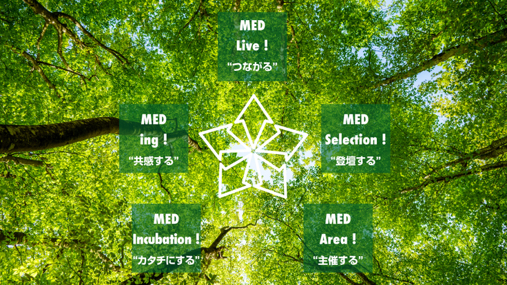 MEDの森５つの道