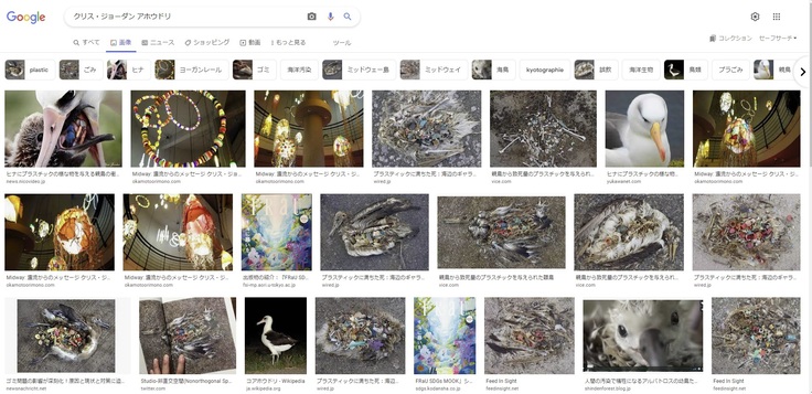 クリスジョーダン_アホウドリ_検索