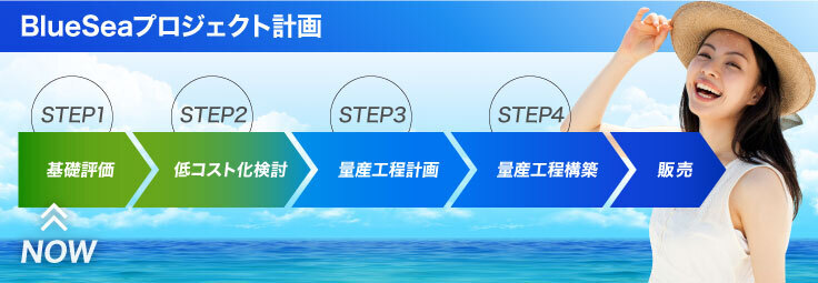 BlueSeaプロジェクト計画