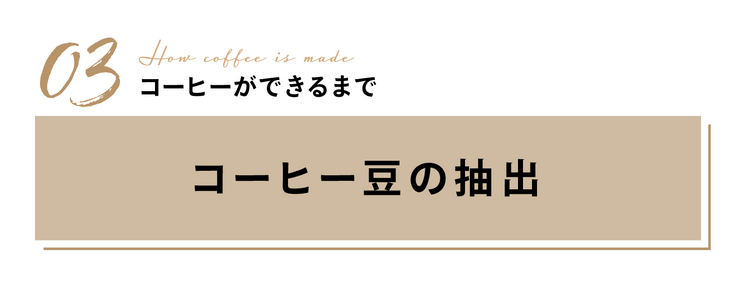 コーヒーの抽出