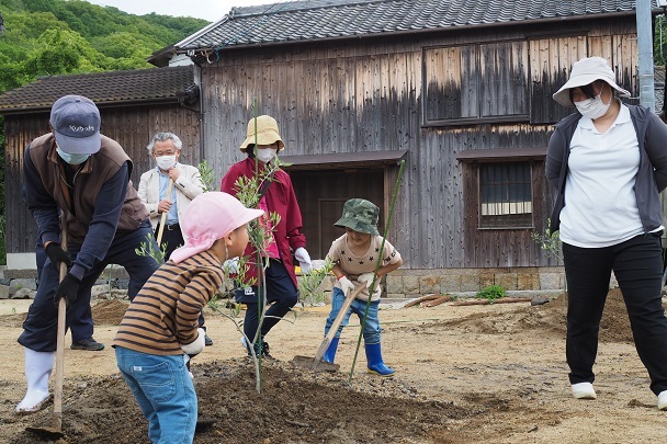田浦オリーブプロジェクト