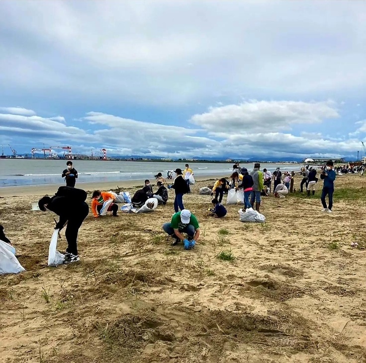 ボランティアによる回収