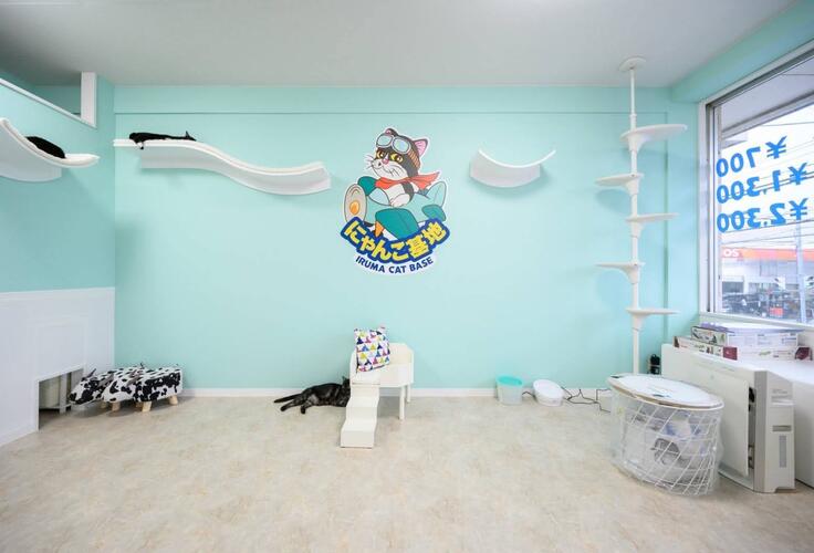 埼玉県入間市にある保護カフェ「にゃんこ基地」さん