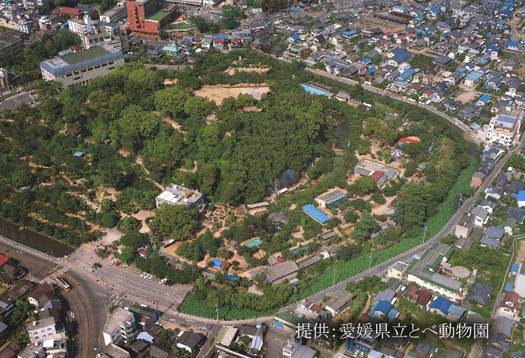 道後動物園空撮