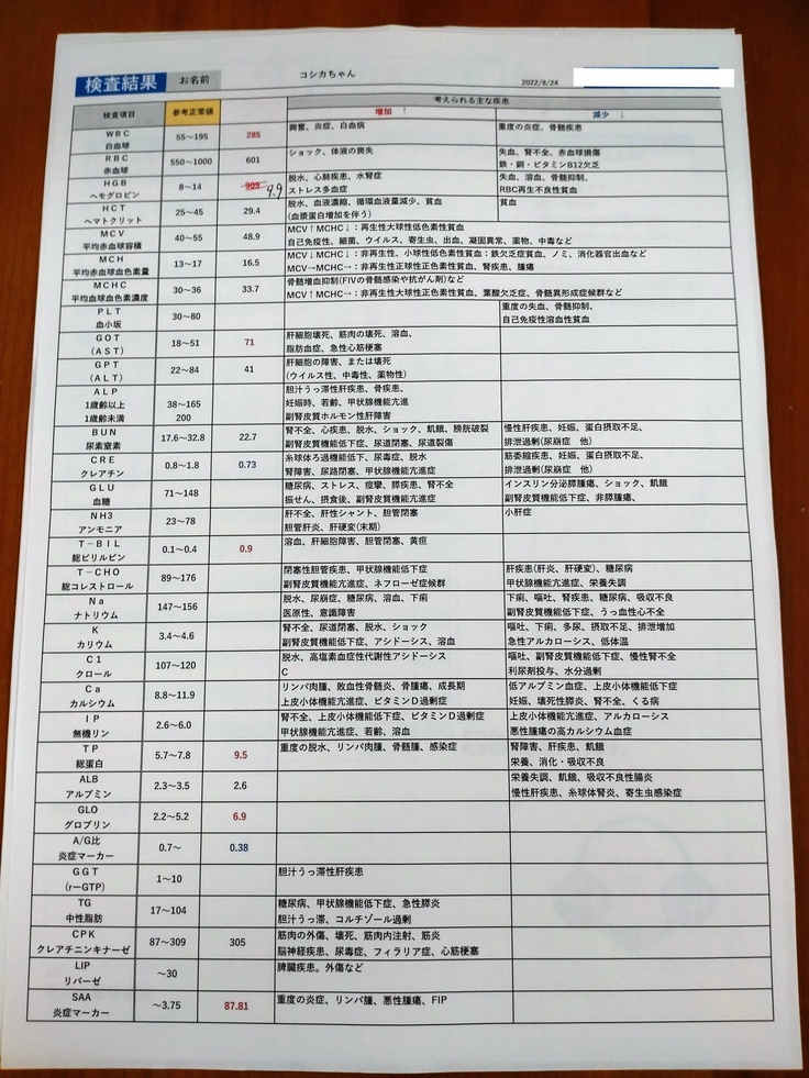 8月24日の検査結果