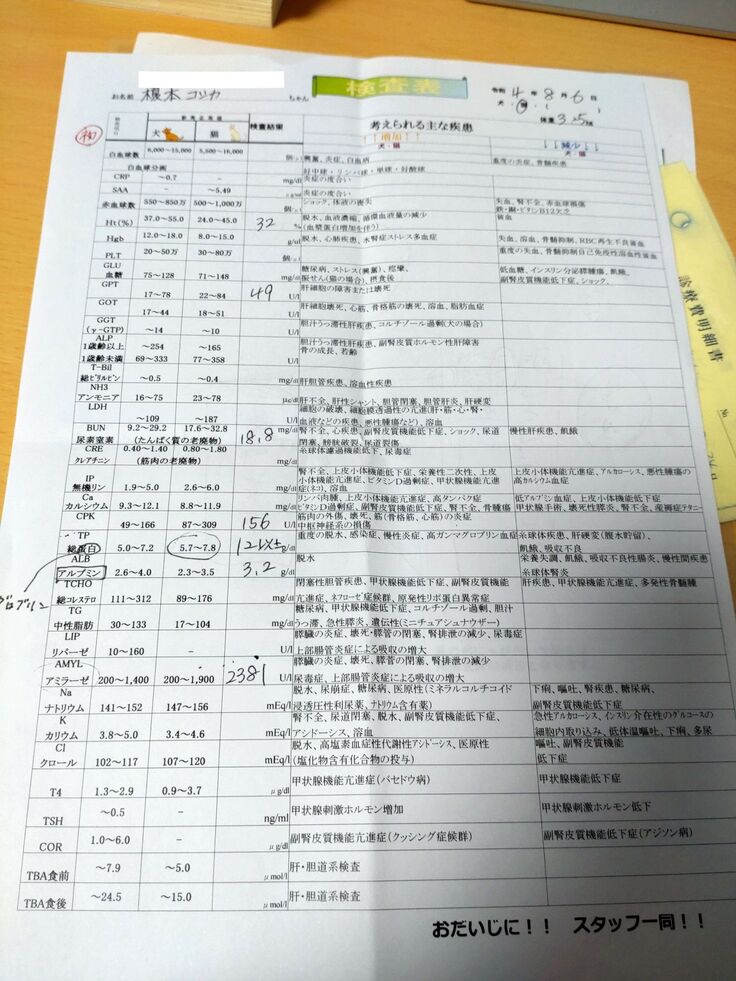 かかりつけ医で受けた検査結果