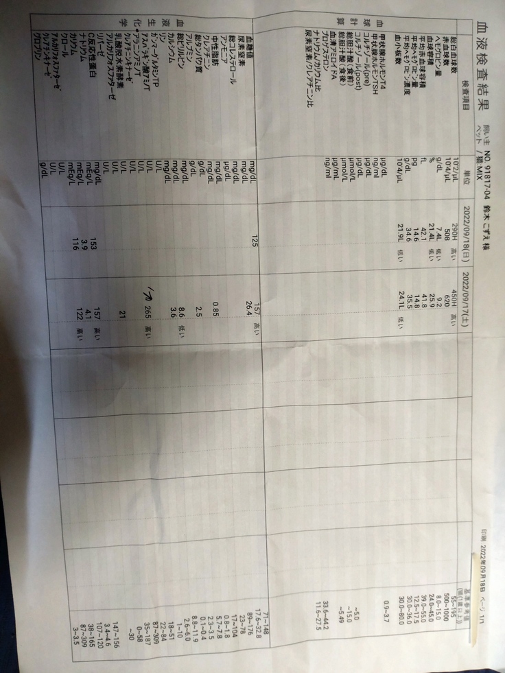 病院から資料の掲載の許諾を頂いております