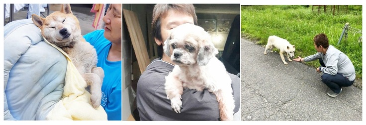 シェルターに来た日