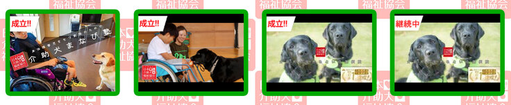 日本介助犬福祉協会のクラウドファンディング