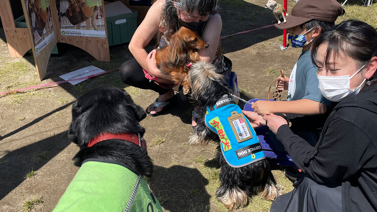 日本介助犬福祉協会のクラウドファンディング