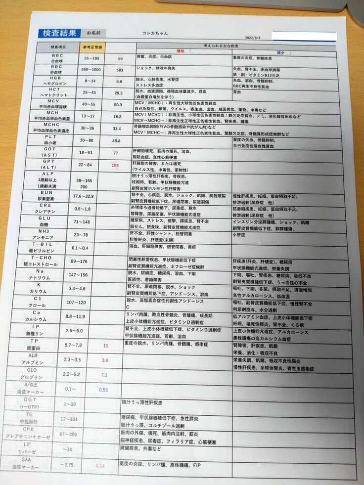 ９月４日の血液検査の結果