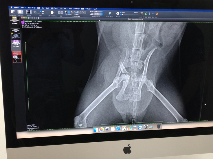 病院から資料の掲載の許諾は頂いております