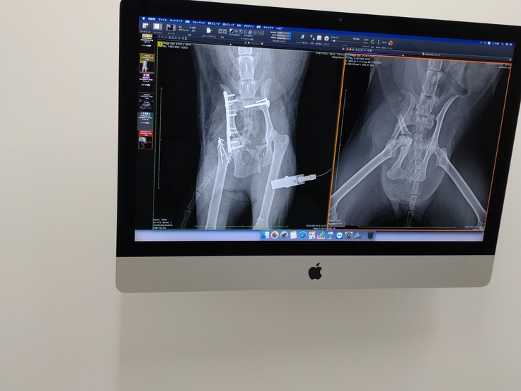 病院から資料の掲載の許諾は頂いております