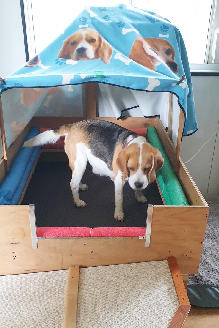 ウェルピングボックス