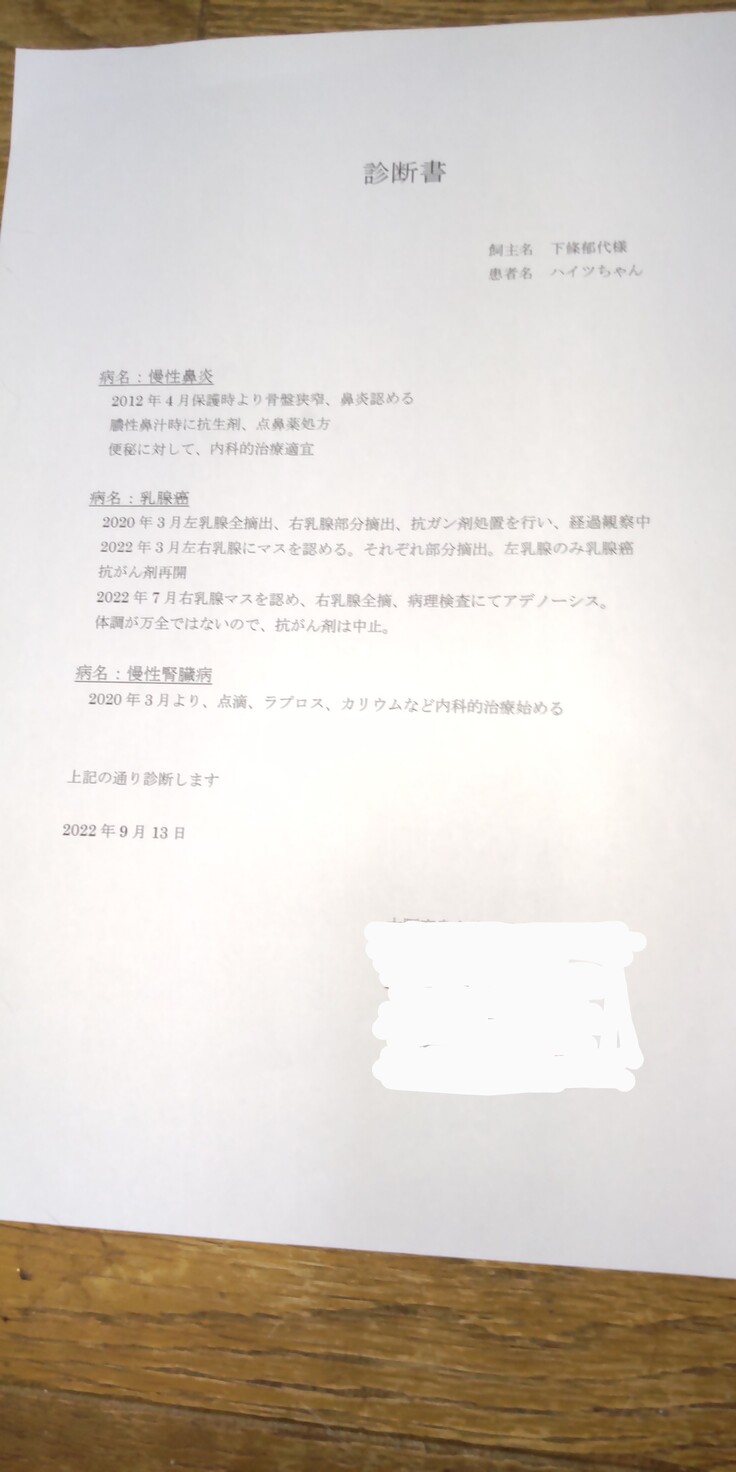 ハイツの再々発の診断書です 保護猫３匹のガンと、高齢猫2匹の投薬