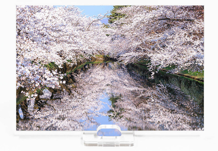 アクリルスタンド(春)