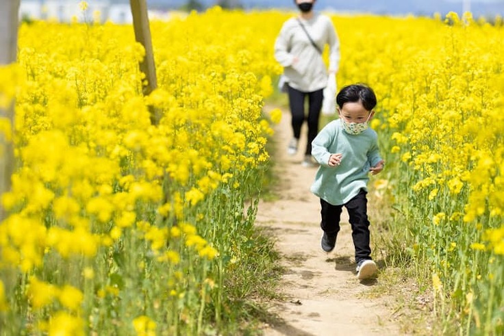 福興浜団の活動（なの花めいろ）