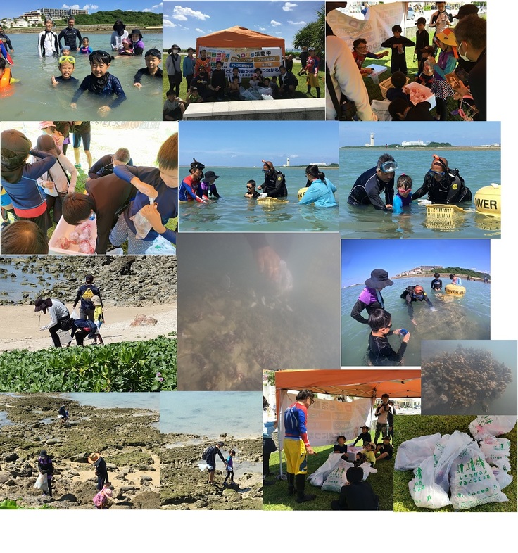 10月9日(日)「サンゴの苗の植付けと海辺の清掃」