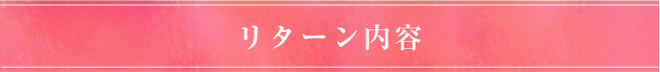 リターン内容