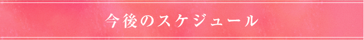 今後のスケジュール