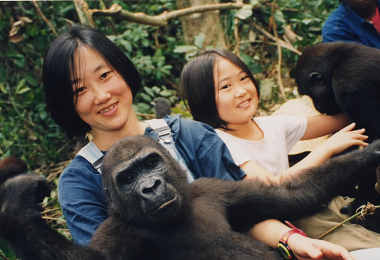 1995年、働いていたコンゴ共和国のゴリラ孤児院での一コマです。密猟の犠牲になって親を殺されたみなしごゴリラを育て、野生に帰すという、世界でも初めての試みでした。(イギリスのハウレッツ野生動物公園とコンゴ共和国森林省が共同で運営)　©️ Naobi OKAYASU