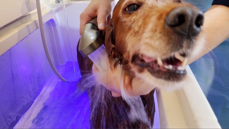 マイクロバブルシャワー