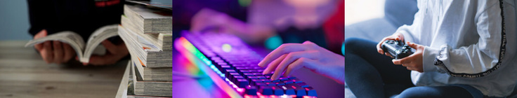 ゲーム、マンガ、ネットゲーム