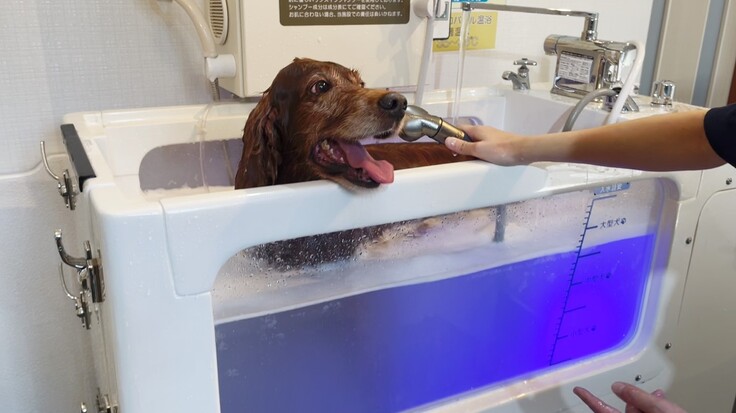 マイクロバブルバス