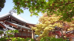 未来に文化財を伝えるため　お寺の図録・聖教目録をつくりたい のトップ画像