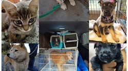 不幸になるために生まれたんじゃない のトップ画像