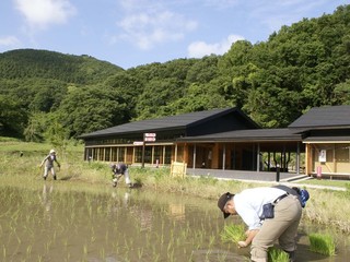 茨城の棚田米で地酒づくり！参加することで支える遊休農地活用！ のトップ画像