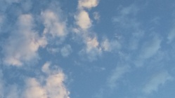 高齢者が気軽に外出できて安心して留守番を頼めるサービスを！！    のトップ画像